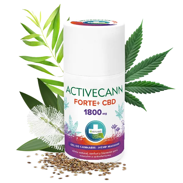 ANNABIS ACTIVECANN FORTE+ HANF MASSAGEGEL MIT 1 800 mg CBD