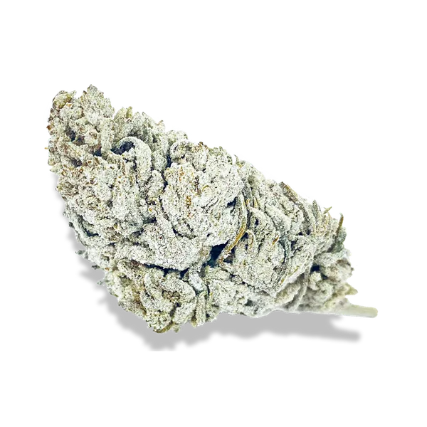 Snow Haze