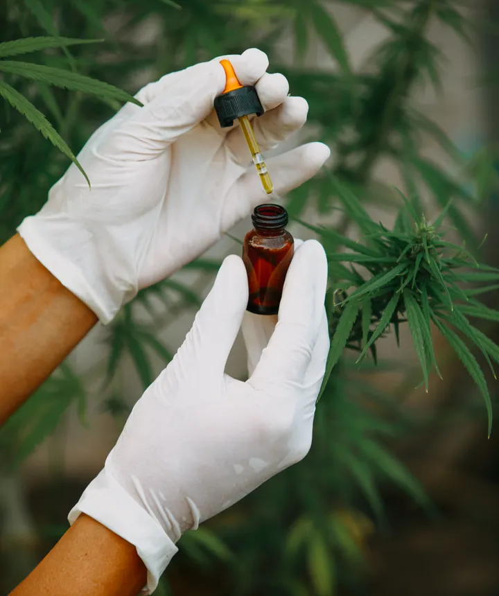 Hemp cultivation — the root of everything we do